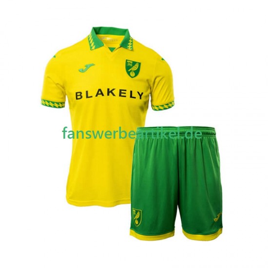 Trikot Norwich City Kinder Heimausrüstung 2025-2026 Kurzarm
