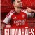 Arsenal verpflichtet Newcastle Uniteds Kapitän!