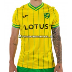 Trikot Norwich City Herren Heimausrüstung 2022-2023 Kurzarm