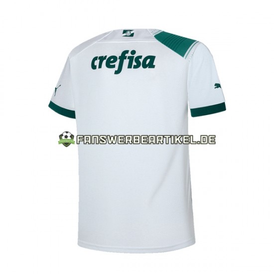 Trikot Palmeiras Herren Auswärtsausrüstung 2023-2024 Kurzarm