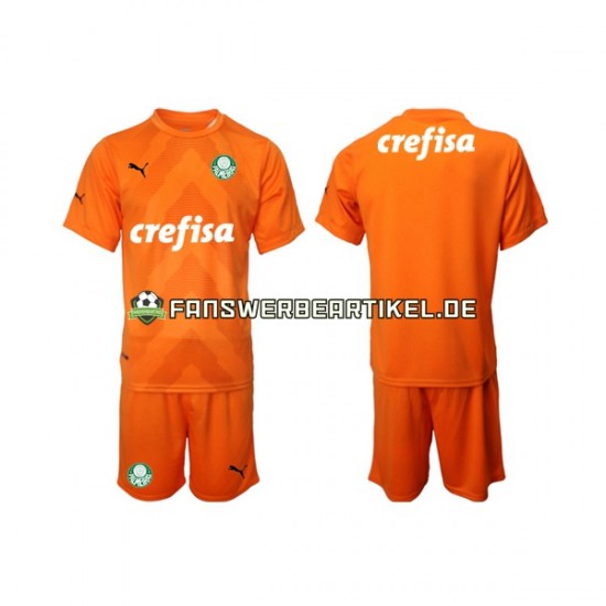 Torwart Trikot Palmeiras Kinder Ausweich ausrüstung 2022-2023 Kurzarm