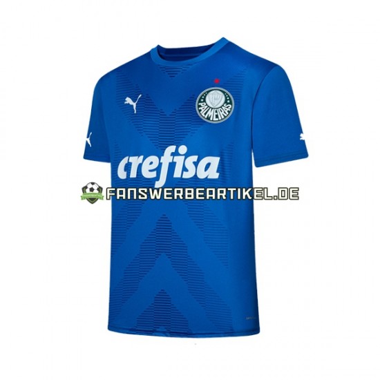 Torwart Trikot Palmeiras Herren Heimausrüstung 2023-2024 Kurzarm