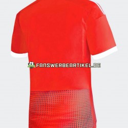 Trikot Peru Herren Auswärtsausrüstung 2023 Kurzarm