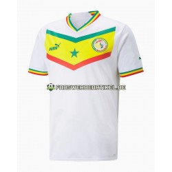 Trikot Senegal Herren Heimausrüstung WM 2022 Kurzarm