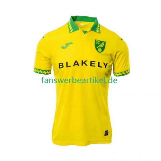 Trikot Norwich City Herren Heimausrüstung 2025-2026 Kurzarm