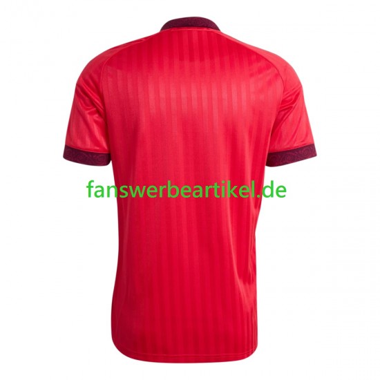 Martin Odegaard 10 Trikot Norwegen Herren Ausweich ausrüstung WM 2026 Kurzarm