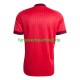 Martin Odegaard 10 Trikot Norwegen Herren Ausweich ausrüstung WM 2026 Kurzarm