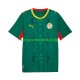 Trikot Senegal Herren Auswärtsausrüstung 2026 2027 Kurzarm